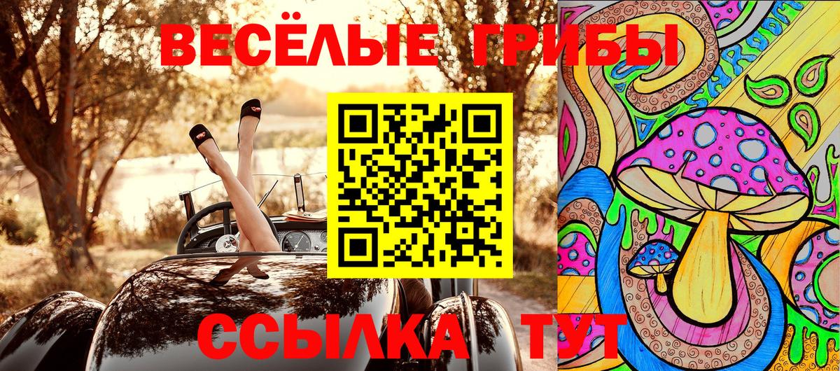 Псилоцибиновые грибы MAGIC MUSHROOMS Долгопрудный