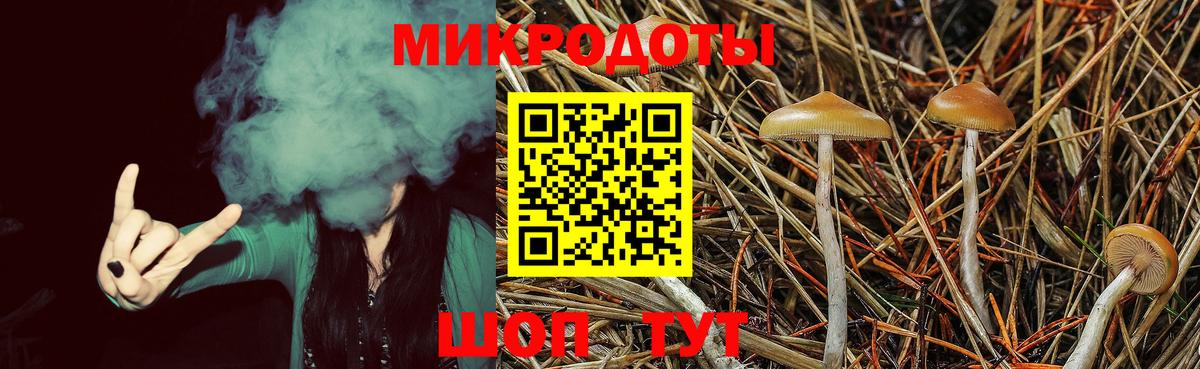 Галлюциногенные грибы прущие грибы  Вход с VPN  Долгопрудный 